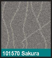 101570 Sakura